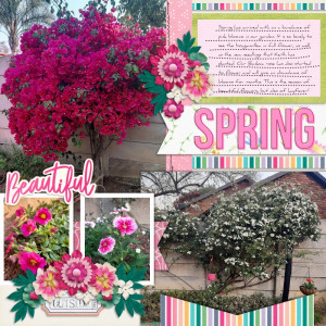 2024-10-07_BeautifulSpring