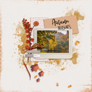 Autumn Treasures