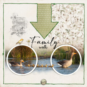 Familly walk