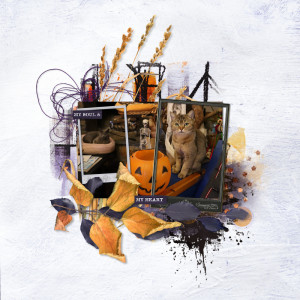 241020_cats Love