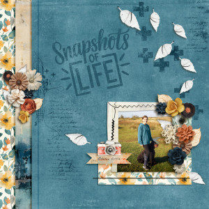 Snapshots Of Life
