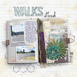 Walks at Break