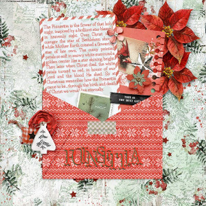 Poinsettia