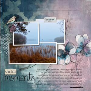 Calm moments