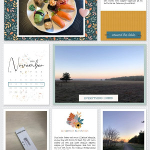 Week 46a 2024