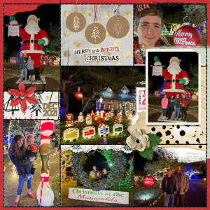 Christmas Lights 2021 Left