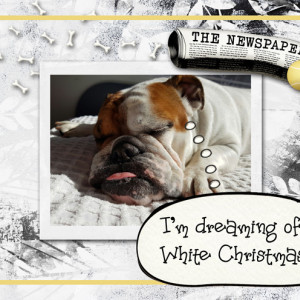 White-Christmas