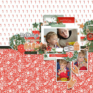 2009-Holidays-Gingerbread-house