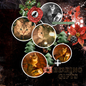 231213_Pip Gifts