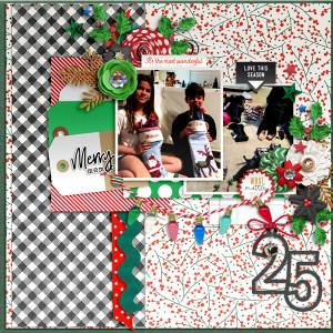 Merry Memories