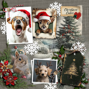 FF_nov13_NBK_Christmas Cuties
