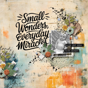 Small Wonders, Everyday Miracles