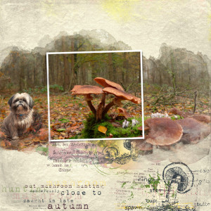 Mushrooms