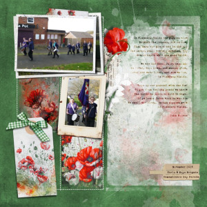 Poppy Day Parade