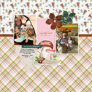 Froggy Friday 11/15- Grateful Heart