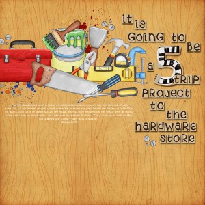five trip project