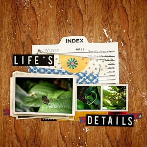 The-Details-of-Life