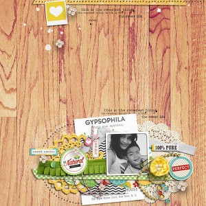 sahlinstudio_fleetwood | 09.03.2012