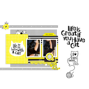 Life is Better with a Cat