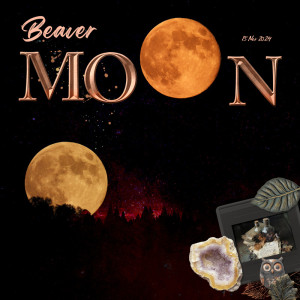 241115_moon
