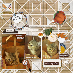 241120_Pip Help
