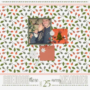 Cherish These Merry Memories