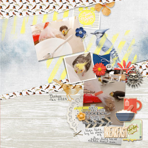 DecTempChall- life with birds: morning edition