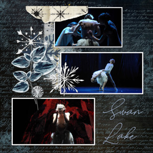 241204_swan Lake1
