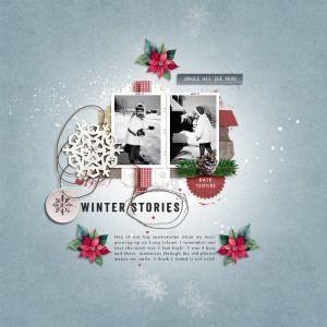 Winter Stories