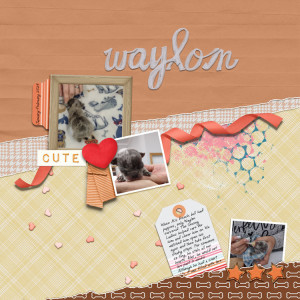 Waylon