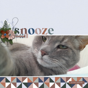 Snooze