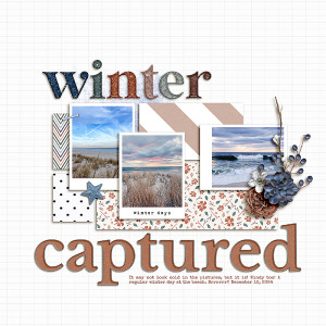 Winter Captured