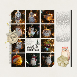 241202_owls