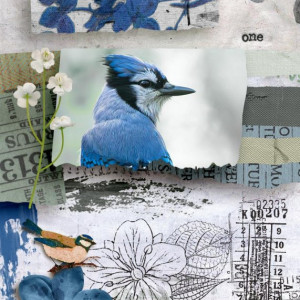 Blue Bird