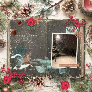 Winter Woodland