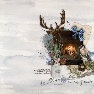 Essence Of Winter