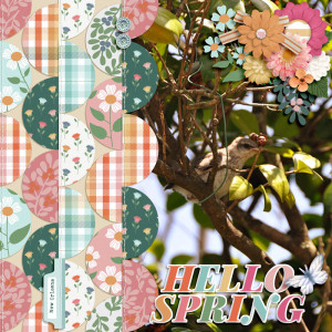 Happy Spring