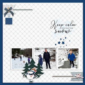 Wait-for-snow