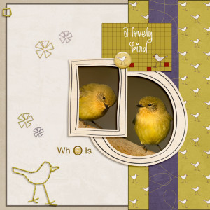 Lovely Birds