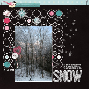 10-30-2011 - Snow