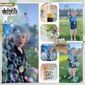 BYOC January 2025- Precious Delights