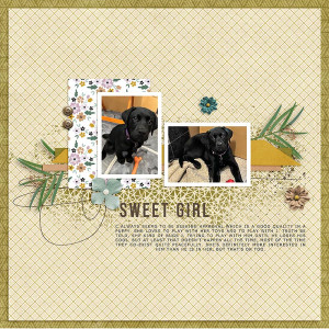 Sweet Girl