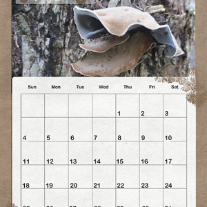 MOC2013_Day4_Realistic Stamping_January 2026 Calendar page