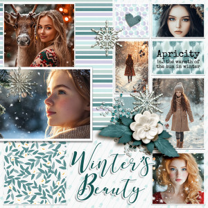 SOSN_jan8_ngd_N&J_Winter's Beauty