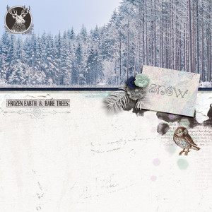 A Winters Tale