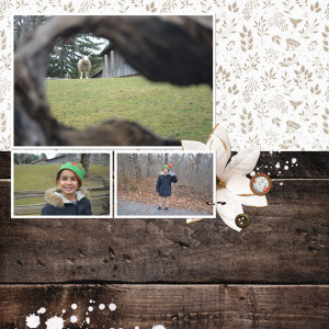 Jan-29-2013-Photo-Exercise-Framing