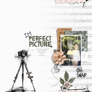 MOC2013 | Jan-6 | Imperfect-Photo
