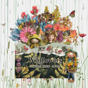 Wildflowers