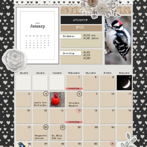 Pure & Simple_Jan2025