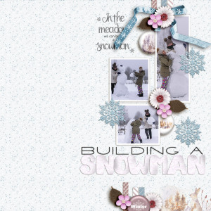 SOSN_jan15_dbi_AD_Building A Snowman